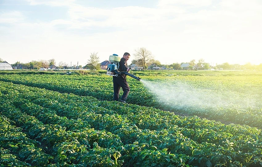 Pesticide 2 Pesticide 2